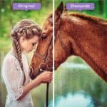 diamonds-wizard-diamond-painting-kits-animals-horse-riders-bond-before-after-jpg