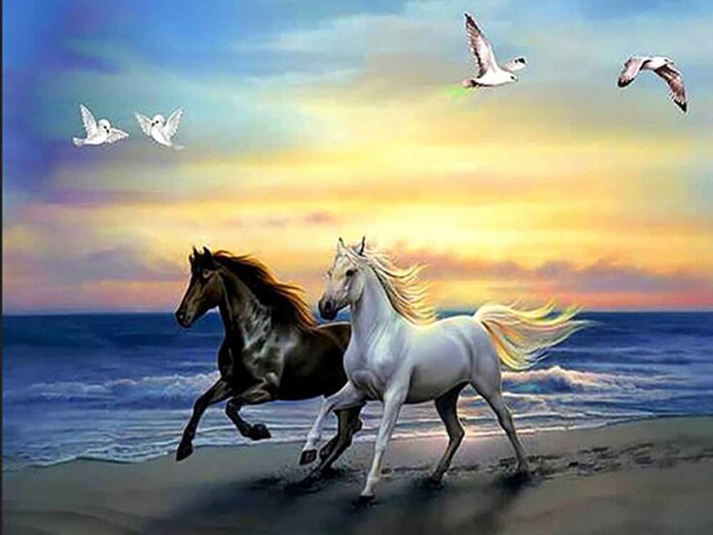diamenty-czarodziej-diamentowe-zestawy do malowania-zwierzęta-koń-zachód słońca-plaża-konie-original.jpg