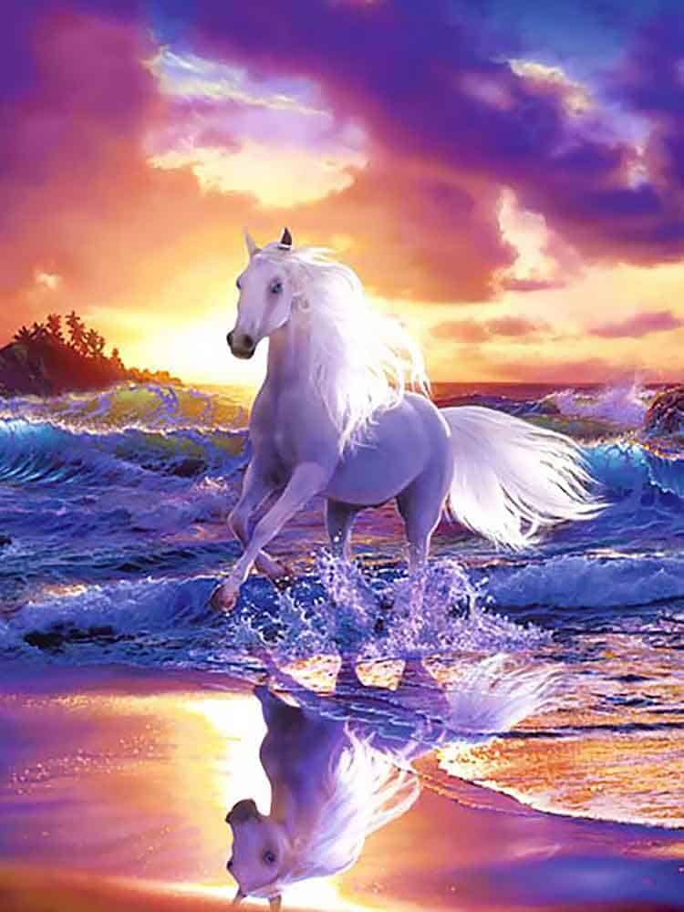 diamonds-wizard-diamant-painting-kit-Animals-Horse-Sunset-Equine-Escape-original.jpg