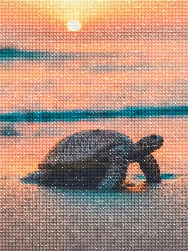 Diamond Painting Turtle And Sunset – Diamonds Wizard