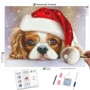 diamonds-wizard-diamant-painting-kit-events-christmas-santas-dog-canvas-jpg
