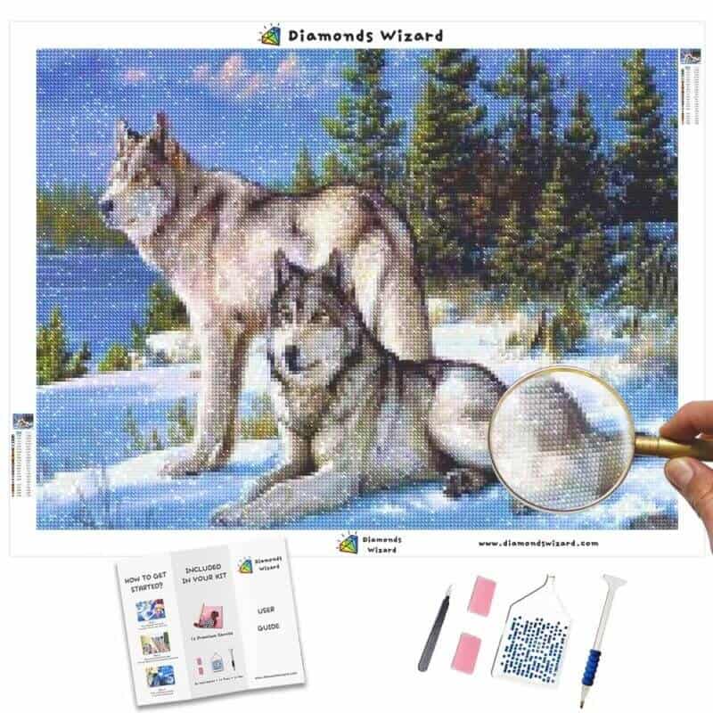 DiamantveiviserDiamond Paintingssett dyr ulv frossen omfavnelse ulvensserenadelerretjpg