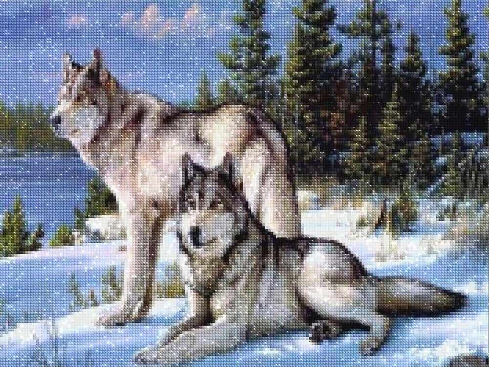 diamonds-wizard-diamond-painting-kits-Animals-Wolf-Frozen-Embrace:-The-Wolf's-Serenade-diamonds.jpg