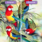 diamanter-trollkarl-diamant-målningssatser-djur-fågel-färgglada-papegojor-på-en-gren-före-efter-webp