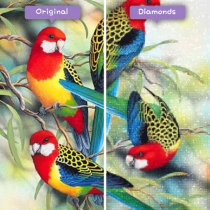 Diamonds-Wizard-Diamond-Painting-Kits-Tiere-Vogel-bunte-Papageien-auf-einem-Zweig-vorher-nachher-webp