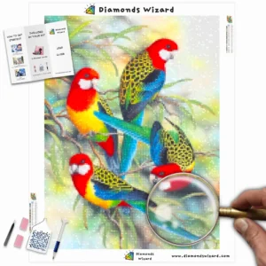 Diamonds-Wizard-Diamond-Painting-Kits-Tiere-Vogel-bunte-Papageien-auf-einem-Zweig-canva-webp