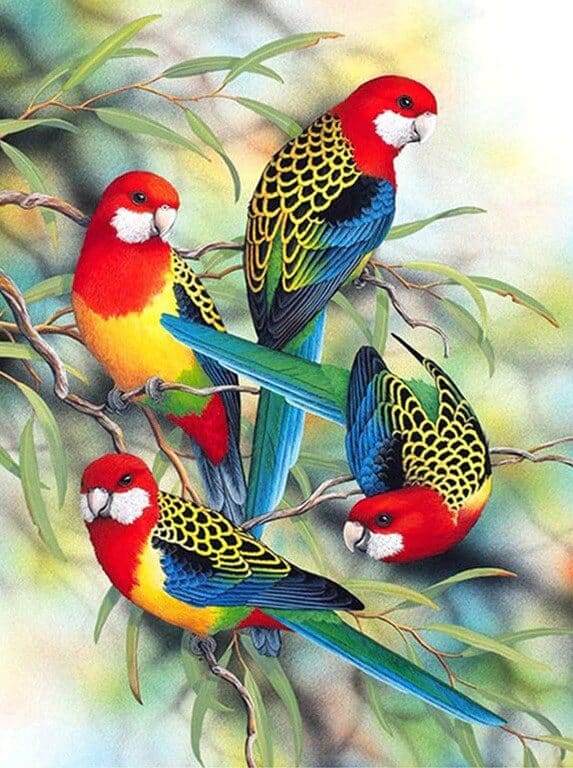 diamonds-wizard-diamond-painting-kit-Animals-Bird-Colorful papegojor på en gren-original.jpeg