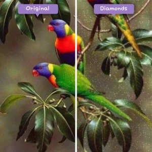 Diamanten-Zauberer-Diamant-Malerei-Sets-Tiere-Vogel-Regenbogen-Lorikis-vorher-nachher-webp