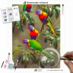 diamonds-wizard-diamond-painting-kits-animals-bird-rainbow-lorikeets-canva-webp
