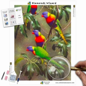 diamonds-wizard-diamond-painting-kits-animals-bird-rainbow-lorikeets-canva-webp