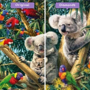 diamanter-trollkarl-diamant-målningssatser-djur-fågel-regnbåge-papegojor-och-koalor-före-efter-webp