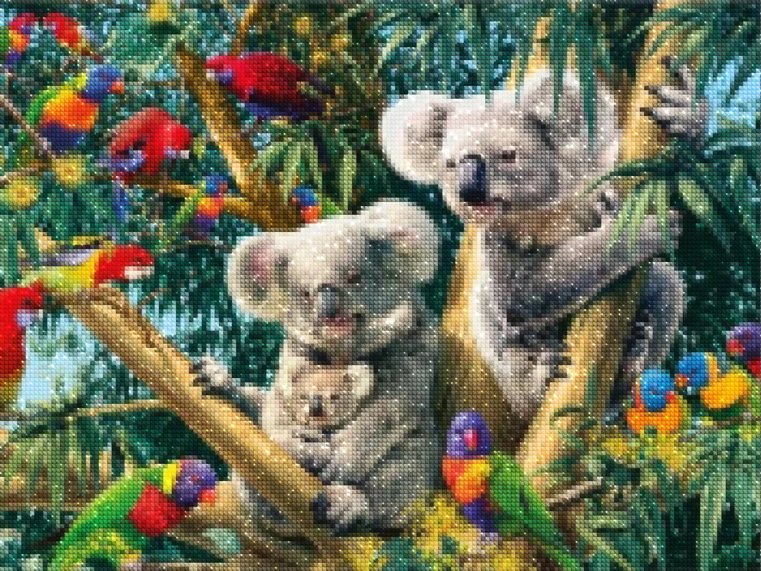 diamanter-trollkarl-diamant-målning-kit-djur-fågel-regnbåge papegojor och koalas-diamonds.webp