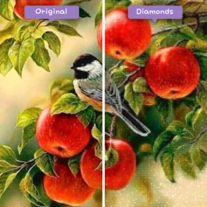 diamanter-troldmand-diamant-maleri-sæt-dyr-fugle-rødt-æbletræ-før-efter-webp