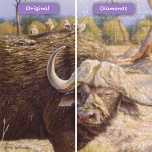 diamonds-wizard-diamond-painting-kits-animals-buffalo-buffalo-in-the-wild-before-after-webp