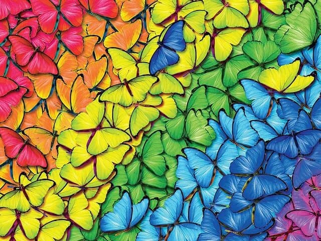 diamanten-wizard-diamond-painting-kits-Animals-Butterfly-A Rainbow of Butterflies-original.jpg_640x640-original.jpg