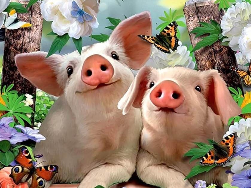 Diamonds-Wizard-Diamond-Painting-Kits-Tiere-Schmetterling-Adorable Pigs in Bloom-original.jpeg