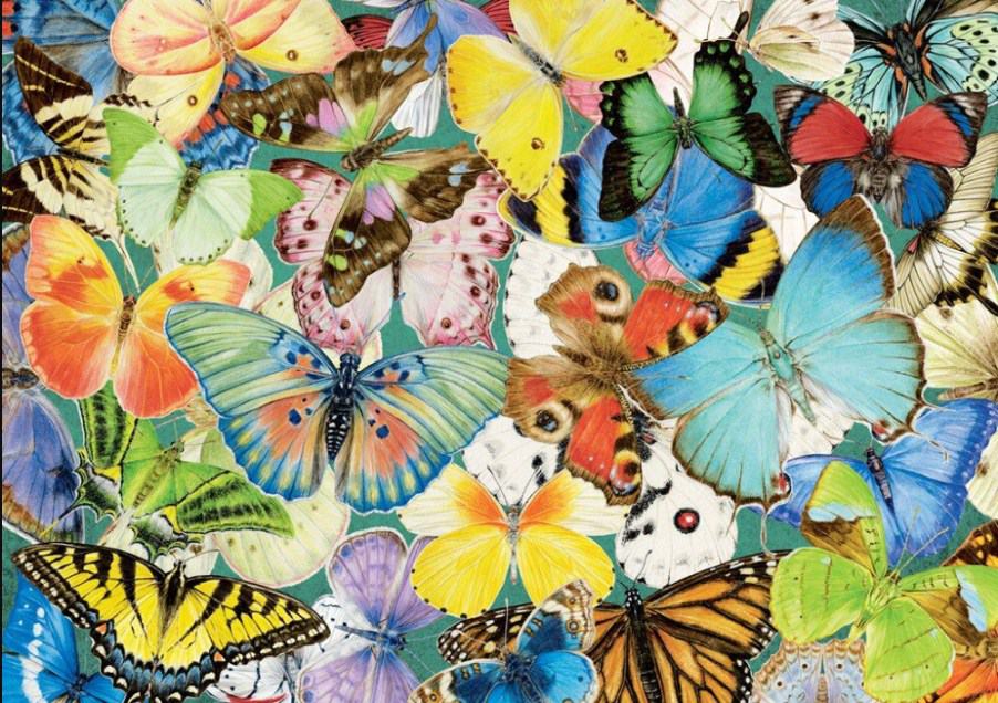 diamenty-czarodziej-zestawy-do-diamentowego-malowania-Zwierzęta-Butterfly-Kolekcja Butterfly-original.jpeg