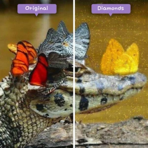 diamonds-wizard-diamond-painting-kits-animals-butterfly-butterfly-crocodile-before-after-webp
