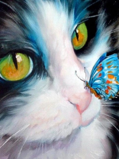 diamonds-wizard-diaman-painting-kit-Animals-Butterfly-Butterfly och Cat-original.jpeg