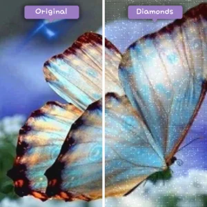 Diamonds-Wizard-Diamond-Painting-Kits-Tiere-Schmetterling-majektischer-blauer-Schmetterling-vorher-nachher-webp