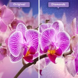 diamanter-troldmand-diamant-maleri-sæt-dyr-sommerfugle-lilla-orkideer-med-sommerfugle-før-efter-webp
