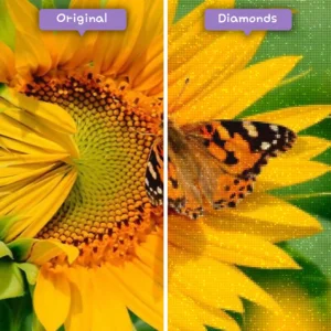 Diamonds-Wizard-Diamond-Painting-Kits-Tiere-Schmetterling-Sonnenblume-und-Schmetterling-vorher-nachher-webp