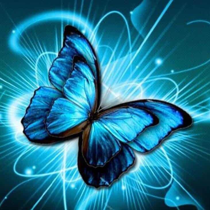 diamanter-troldmand-diamant-maleri-sæt-Dyr-sommerfugl-Den blå sommerfugl-original.jpeg