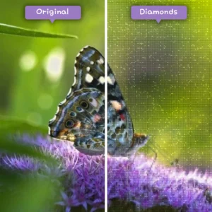 diamonds-wizard-diamond-painting-kits-animals-butterfly-the-butterfly-on-the-purple-flower-before-after-webp