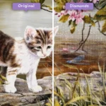 diamanter-trollkarl-diamant-målningssatser-djur-katt-bedårande-kattunge-vid-floden-före-efter-webp