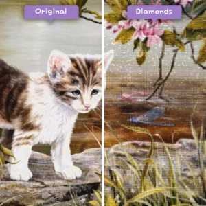diamonds-wizard-diamond-painting-kits-animals-cat-adorable-kitten-by-the-river-before-after-webp