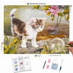 Diamonds-Wizard-Diamond-Painting-Kits-Animals-Cat-adorable-Kitten-by-the-River-Canva-Webp
