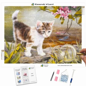 diamanten-wizard-diamond-painting-kits-dieren-kat-schattig-kitten-bij-de-rivier-canva-webp
