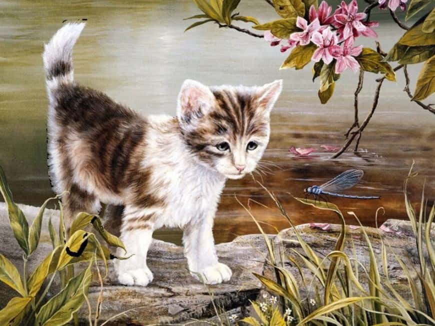 diamantes-mago-kits-de-pintura-de-diamantes-Animales-Gato-Adorable gatito junto al río-original.jpeg