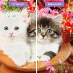 diamonds-wizard-diamond-painting-kits-animals-cat-adorable-kittens-in-a-pot-before-after-webp