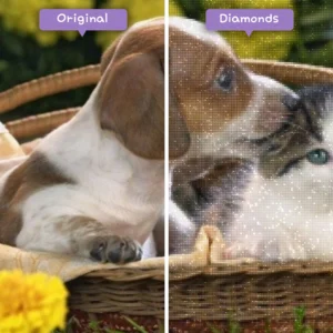 diamanter-trollkarl-diamant-målningssatser-djur-katt-bedårande-valp-och-kattunge-i-en-korg-före-efter-webp