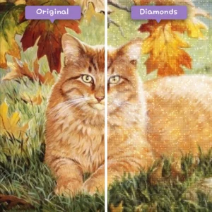 diamants-assistant-diamond-painting-kits-animaux-chat-automne-ginger-cat-avant-après-webp