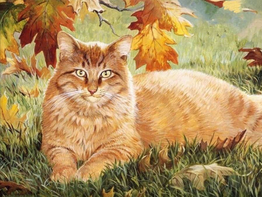 diamanter-trollkarl-diamant-målningssatser-Djur-Katt-Höst Ginger Cat-original.jpeg