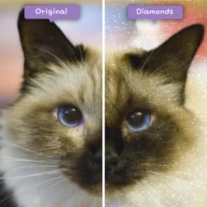diamanter-trollkarl-diamant-målningssatser-djur-katt-vacker-birman-katt-före-efter-webp