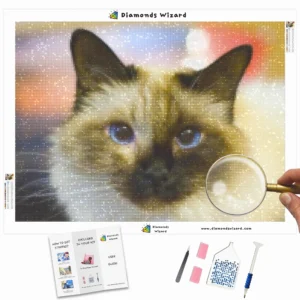 Diamonds-Wizard-Diamond-Painting-Kits-Tiere-Cat-beautiful-Birman-Cat-Canva-Webp
