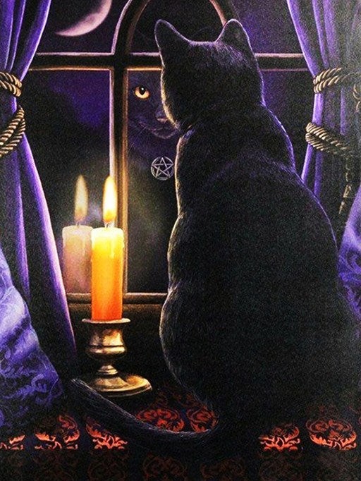 diamantes-mago-kits-de-pintura-de-diamantes-Animales-Gato-La noche misteriosa del gato negro-original.jpeg