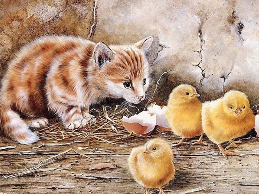 diamonds-wizard-diamond-painting-kit-Animals-Cat-Cat and Chicks-original.jpeg