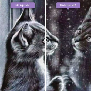 diamanten-wizard-diamant-schilderkits-dieren-kat-katten-spiegel-voor-na-webp