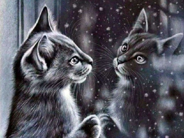 diamanter-trollkarl-diamant-målningssatser-Animals-Cat-Cat's Mirror-original.jpeg