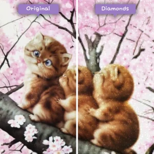 diamanten-wizard-diamond-painting-kits-dieren-kat-kersenbloesem-kittens-voor-na-webp-2