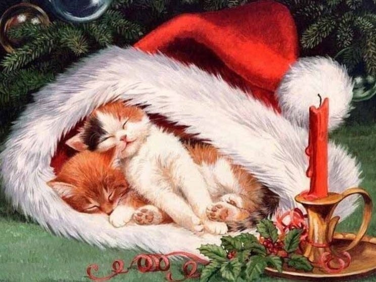 diamanti-mago-kit-pittura-diamante-Animali-Gatto-Cozy Christmas Cats-original.jpeg