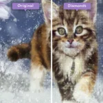 kits de pintura-de-diamantes-mago-de-diamantes-animales-gato-lindo-gatito-corriendo-en-la-nieve-antes-después-webp