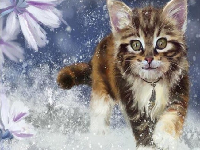 diamanti-mago-kit-pittura-diamante-Animali-Gatto-Gattino carino che corre nella neve-originale.jpeg