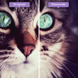 diamonds-wizard-diamond-painting-kits-animals-cat-enchanted-turquoise-eyes-before-after-webp