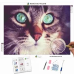 Diamonds-Wizard-Diamond-Painting-Kits-Tiere-Cat-enchanted-Turquoise-Eyes-Canva-Webp