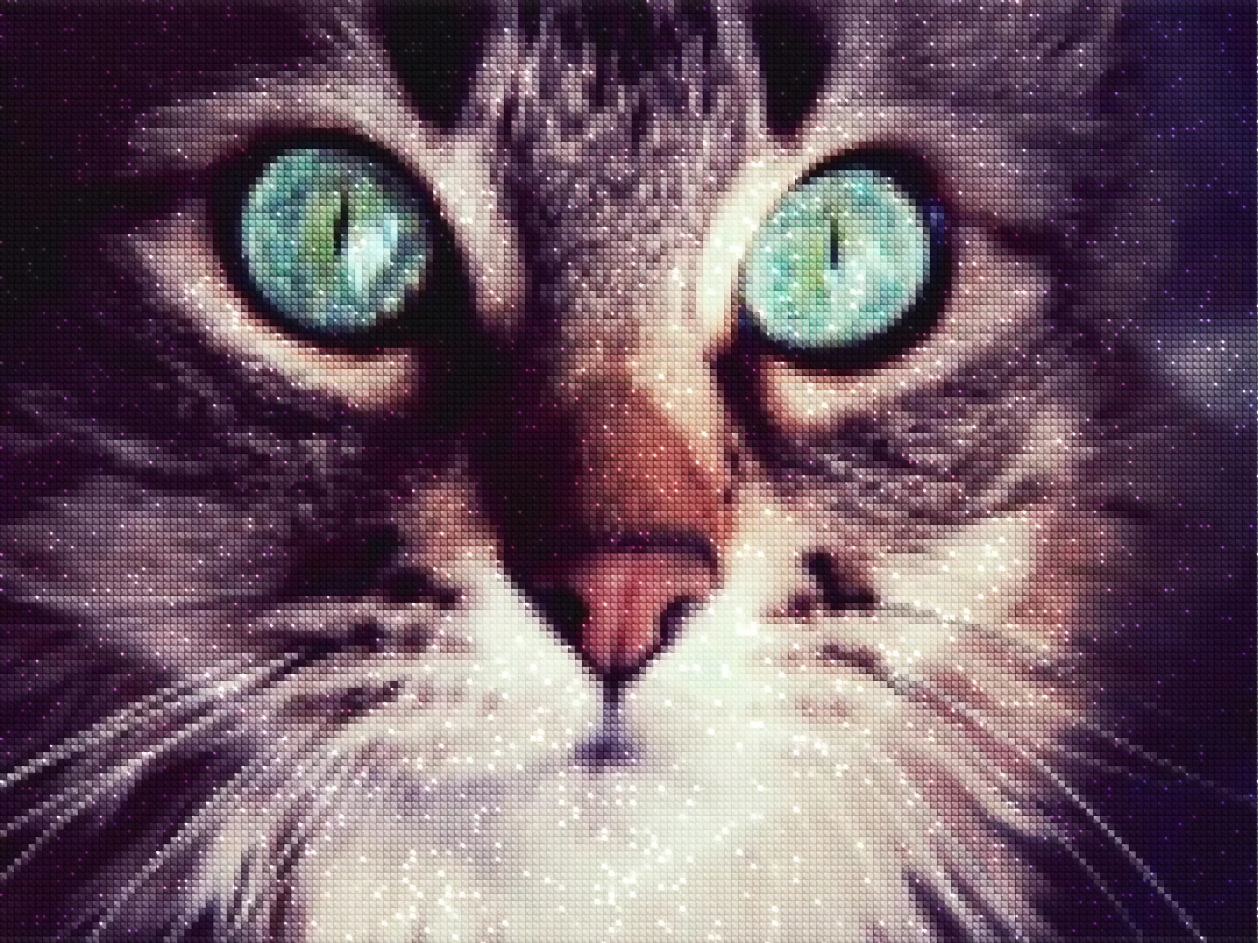 Diamonds-Wizard-Diamond-Painting-Kits-Animals-Cat-Enchanted Türkis Eyes-diamonds.webp